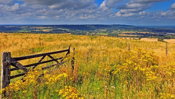'The Dragon of Butser Hill' Story Walk