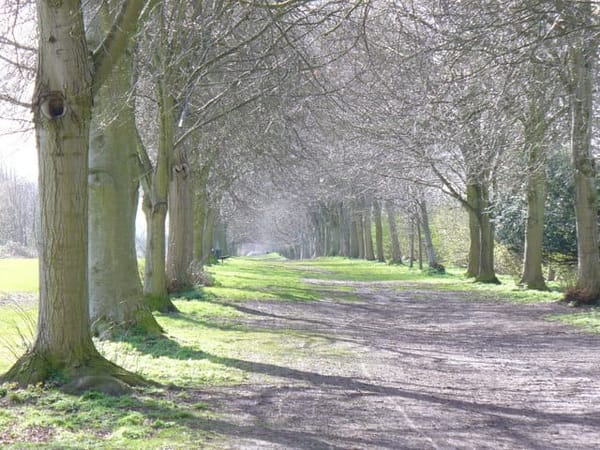 Farnham Park