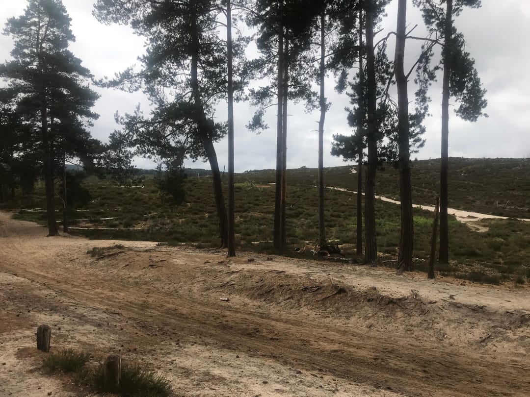 Frensham Little Pond - image 1