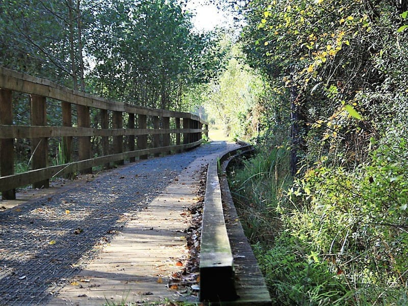 Family Friendly Walks in Fleet