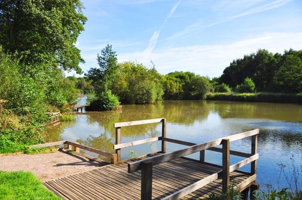 Lakeside Nature Reserve