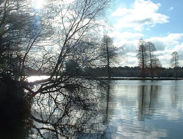Hawley Lake