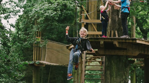 Go Ape, Alice Holt