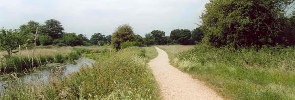 'The Wild Side of Sandhurst' Walk