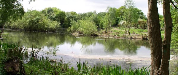 Blackwater Park