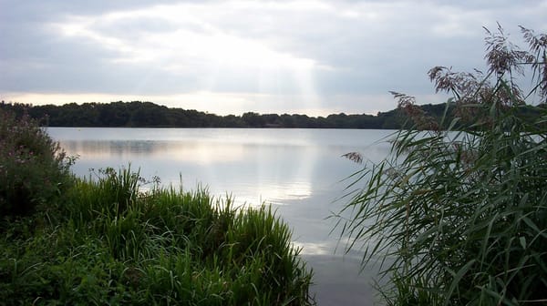 Frensham Great Pond