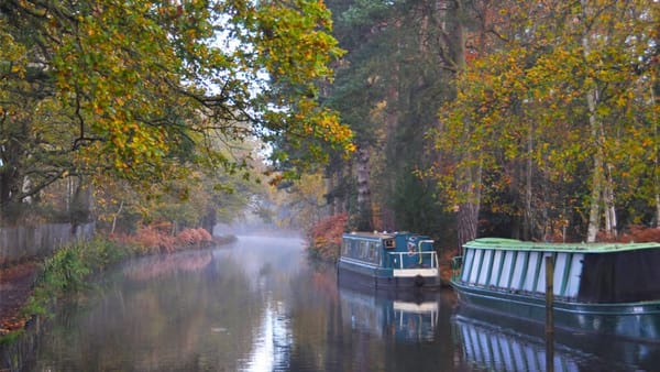 Frimley Lodge Park