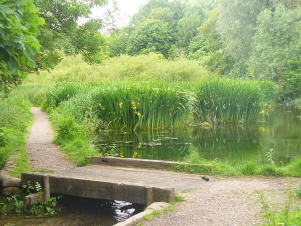 Flood Meadows