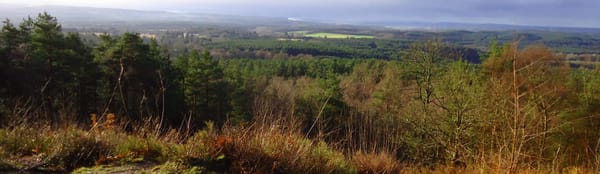 Crooksbury Hill Walk