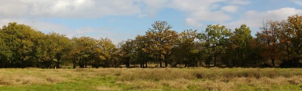 Bramshot Farm Country Park