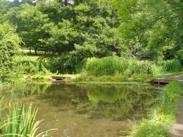 The Wey Walk