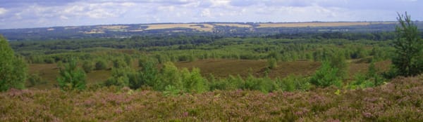 Ash Ranges