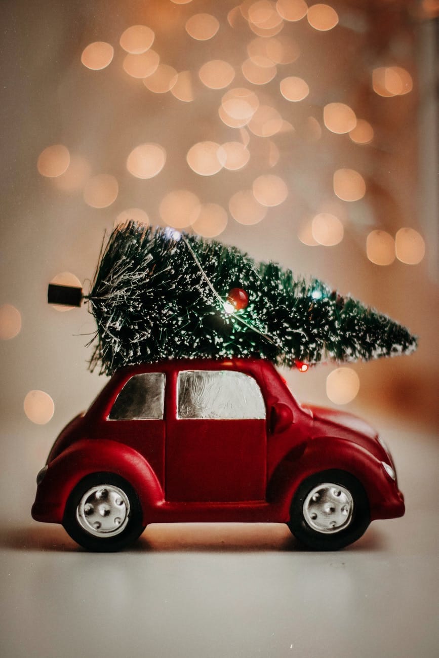 Christmas Trees in Farnham, Farnborough, Alton and Fleet