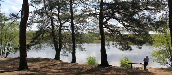 Frensham Little Pond