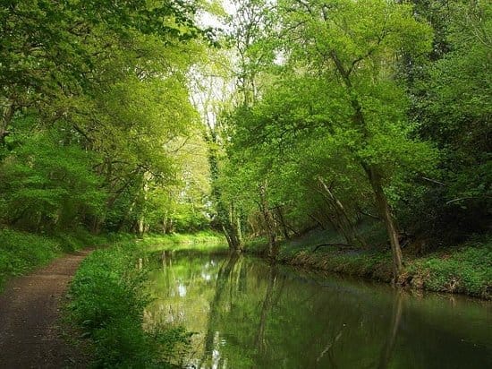 Basingstoke Canal, Frimley Lock and Curzon Bridges