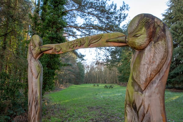 Wellesley Woodlands