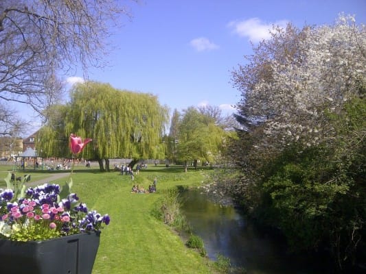 Gostrey Meadows