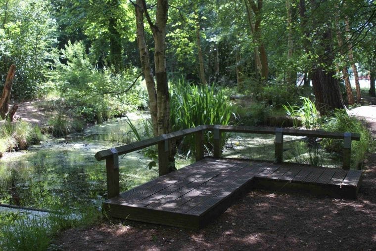 Family Friendly Walks in Fleet