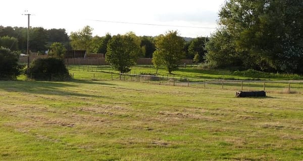 Kingsley Farm Trail Walk