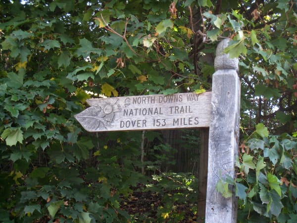 North Downs Way Walk