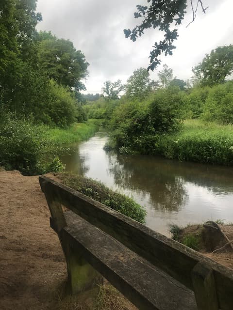 Tilford Green to Frensham Little Pond Walk - image 3