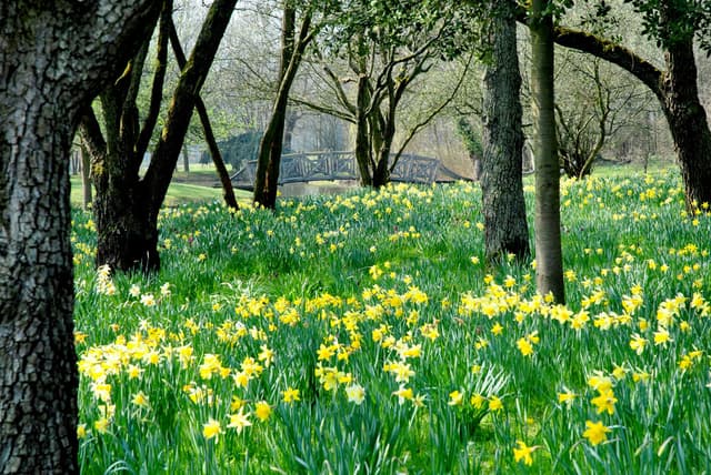 West Green House Gardens
